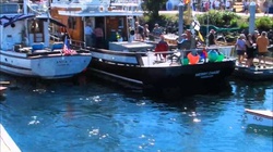 Duo dinghy built during the Port Townsend WBF 2014