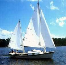 Windward 24 sailing