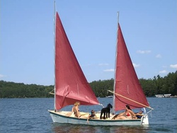 Sailing with a dog